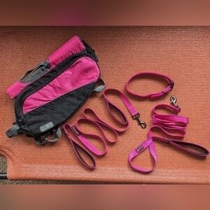 Max & Neo Dog Collar and Leash Set + Outward Hound Backpack